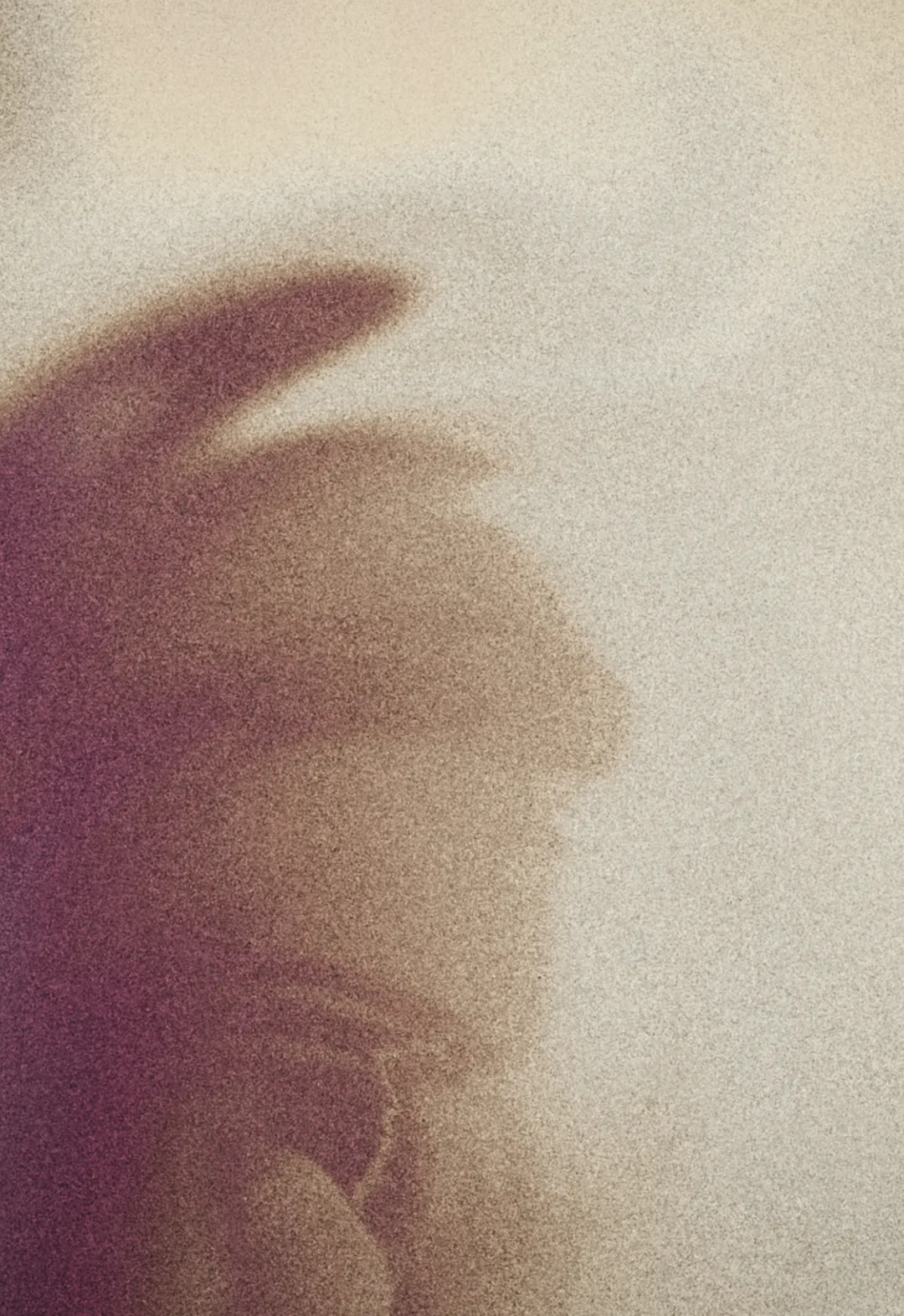 reveal-img